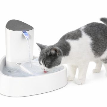 Paras vesiautomaatti kissalle